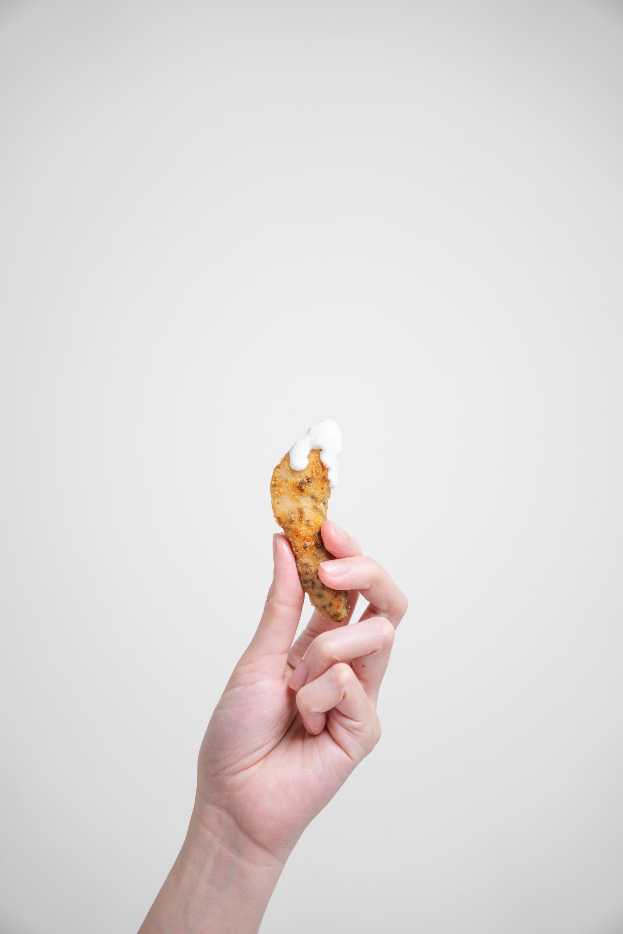 شرائح دجاج بالأعشاب